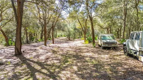 13455 NE 228th Lane Road Fort Mc Coy FL 32134