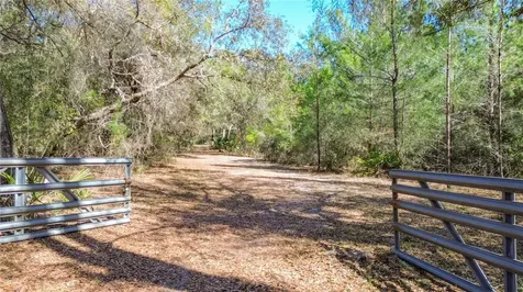 13455 NE 228th Lane Road Fort Mc Coy FL 32134