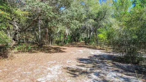 13455 NE 228th Lane Road Fort Mc Coy FL 32134