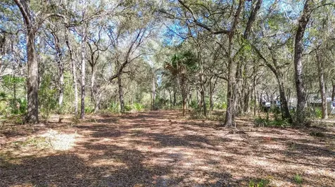 13455 NE 228th Lane Road Fort Mc Coy FL 32134