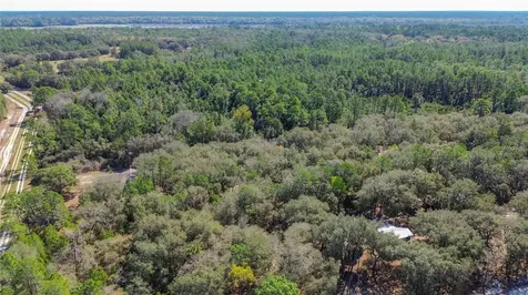 13455 NE 228th Lane Road Fort Mc Coy FL 32134