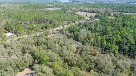 13455 NE 228th Lane Road Fort Mc Coy FL 32134