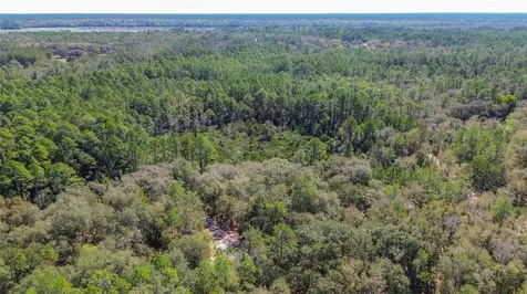 13455 NE 228th Lane Road Fort Mc Coy FL 32134