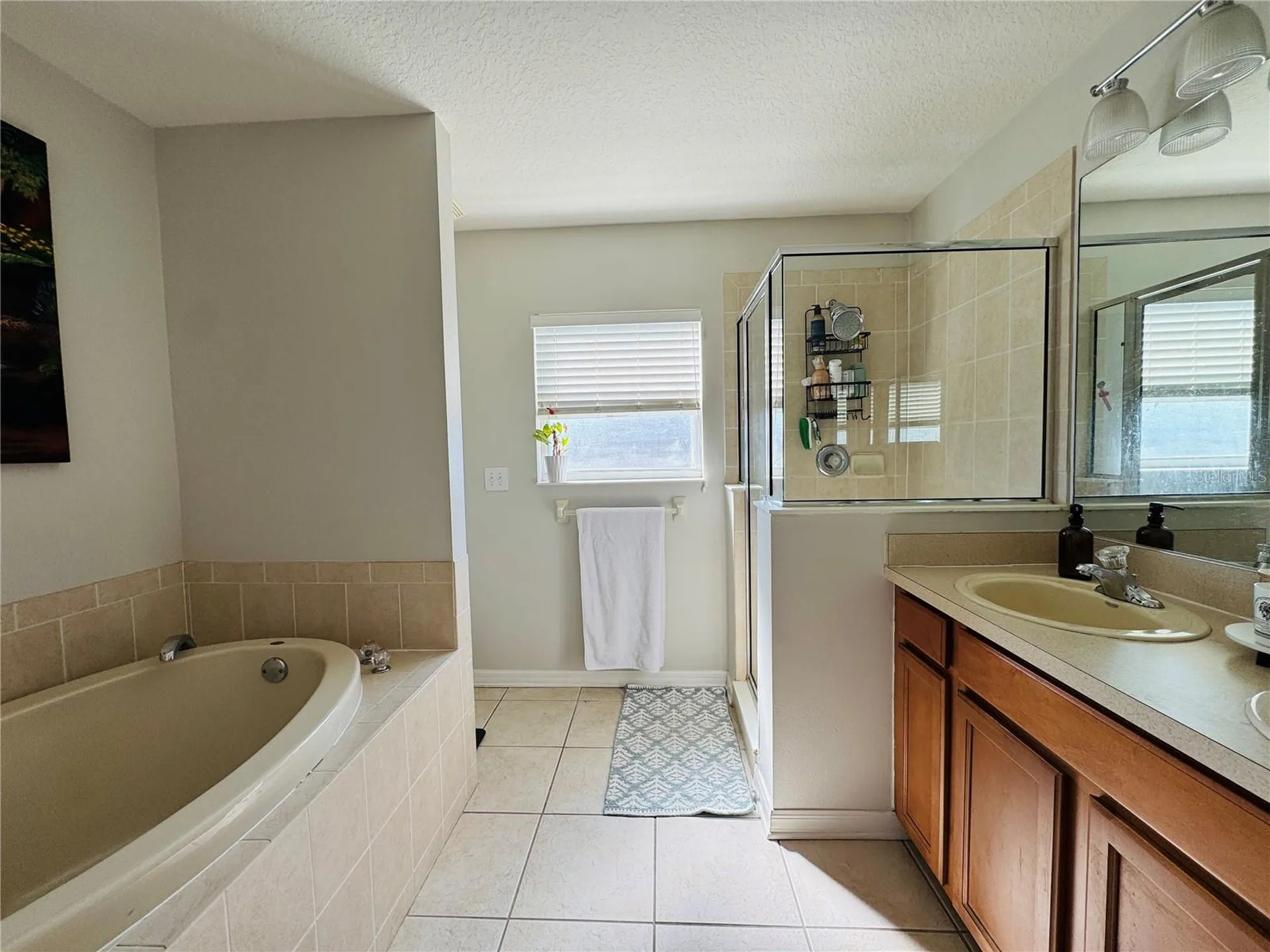 15207 Searobbin Drive Lakewood Ranch FL 34202