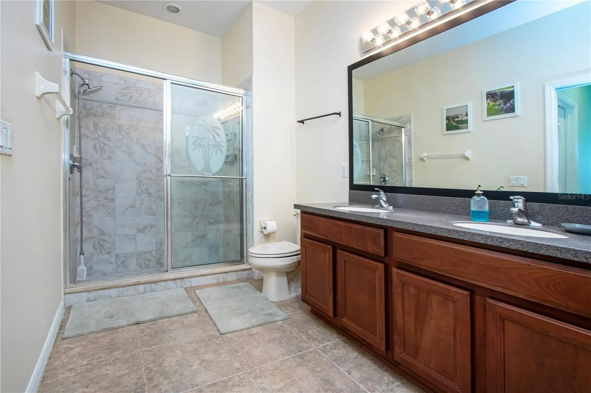 317 Seneca Falls Drive Apollo Beach FL 33572