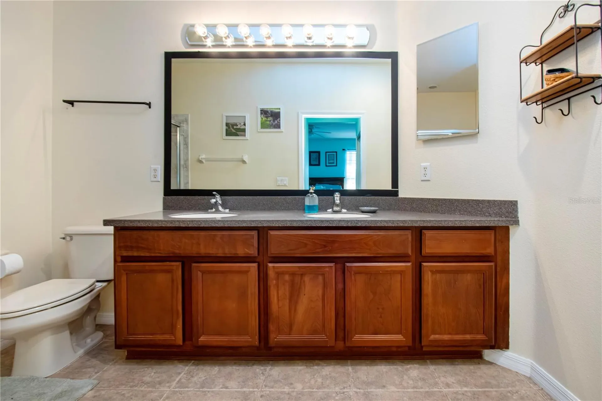 317 Seneca Falls Drive Apollo Beach FL 33572