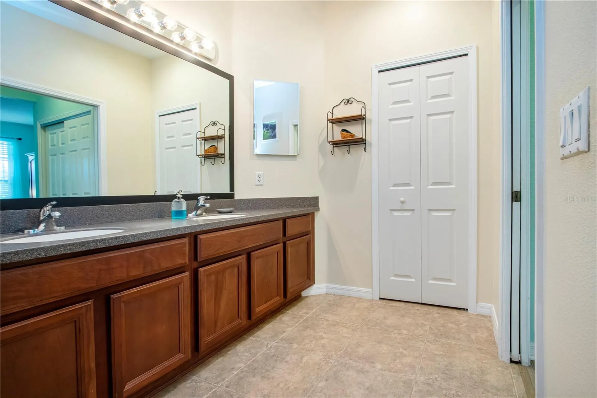 317 Seneca Falls Drive Apollo Beach FL 33572