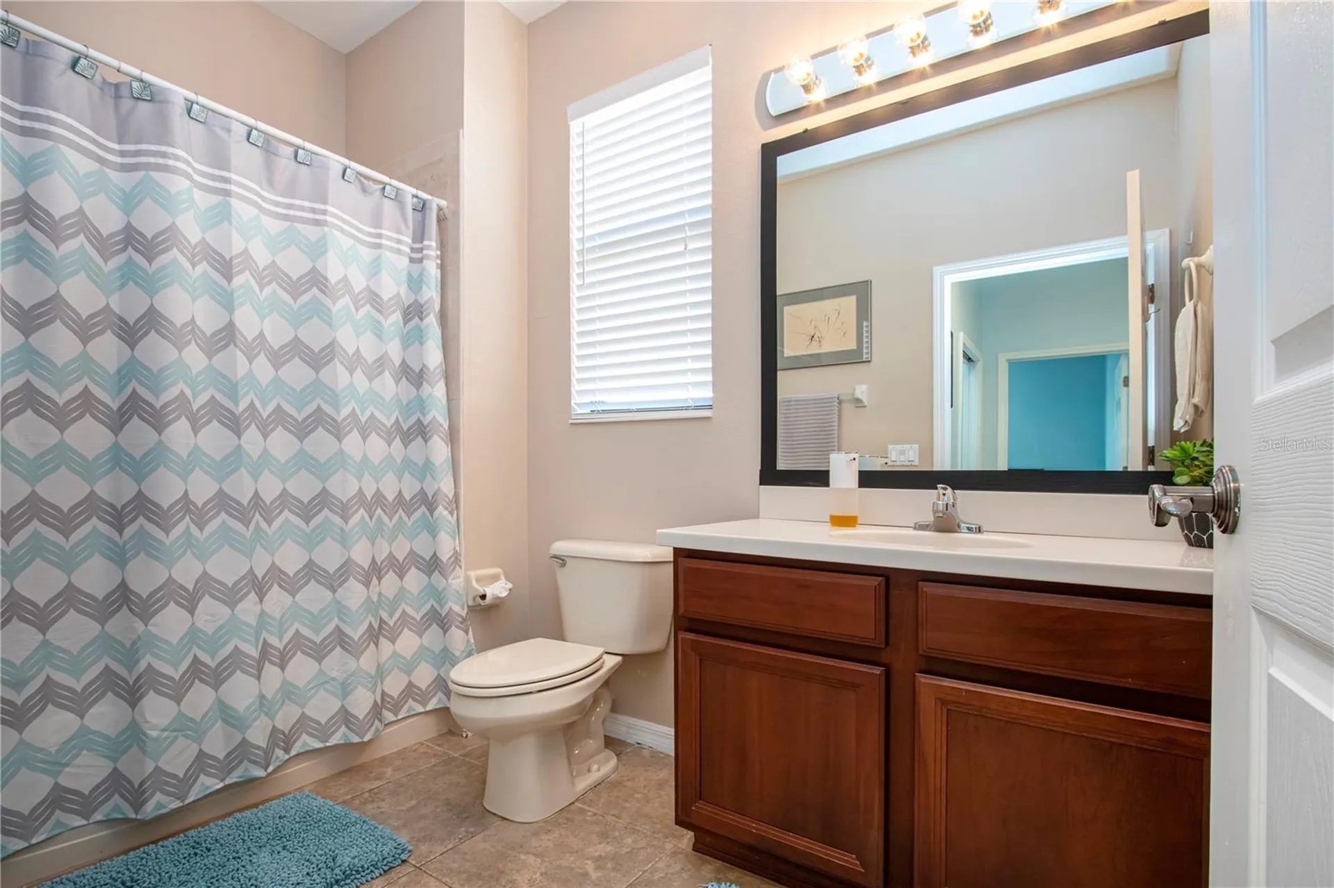 317 Seneca Falls Drive Apollo Beach FL 33572