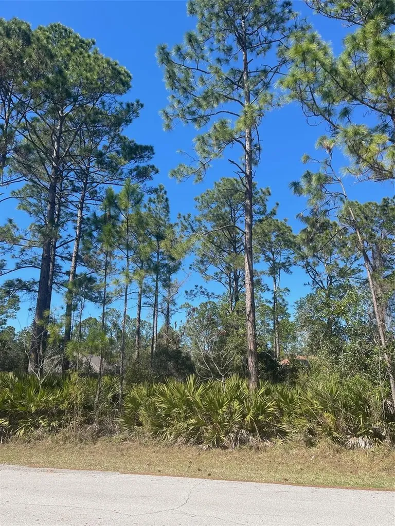 36 Seagoing Trail Palm Coast FL 32164