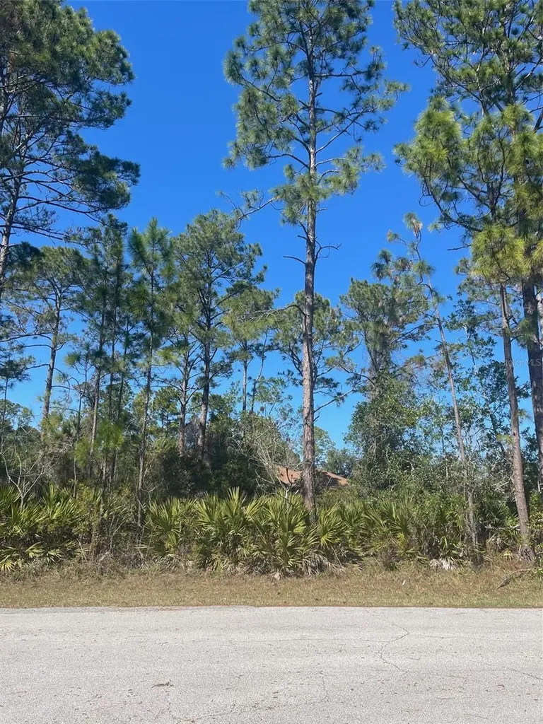 36 Seagoing Trail Palm Coast FL 32164