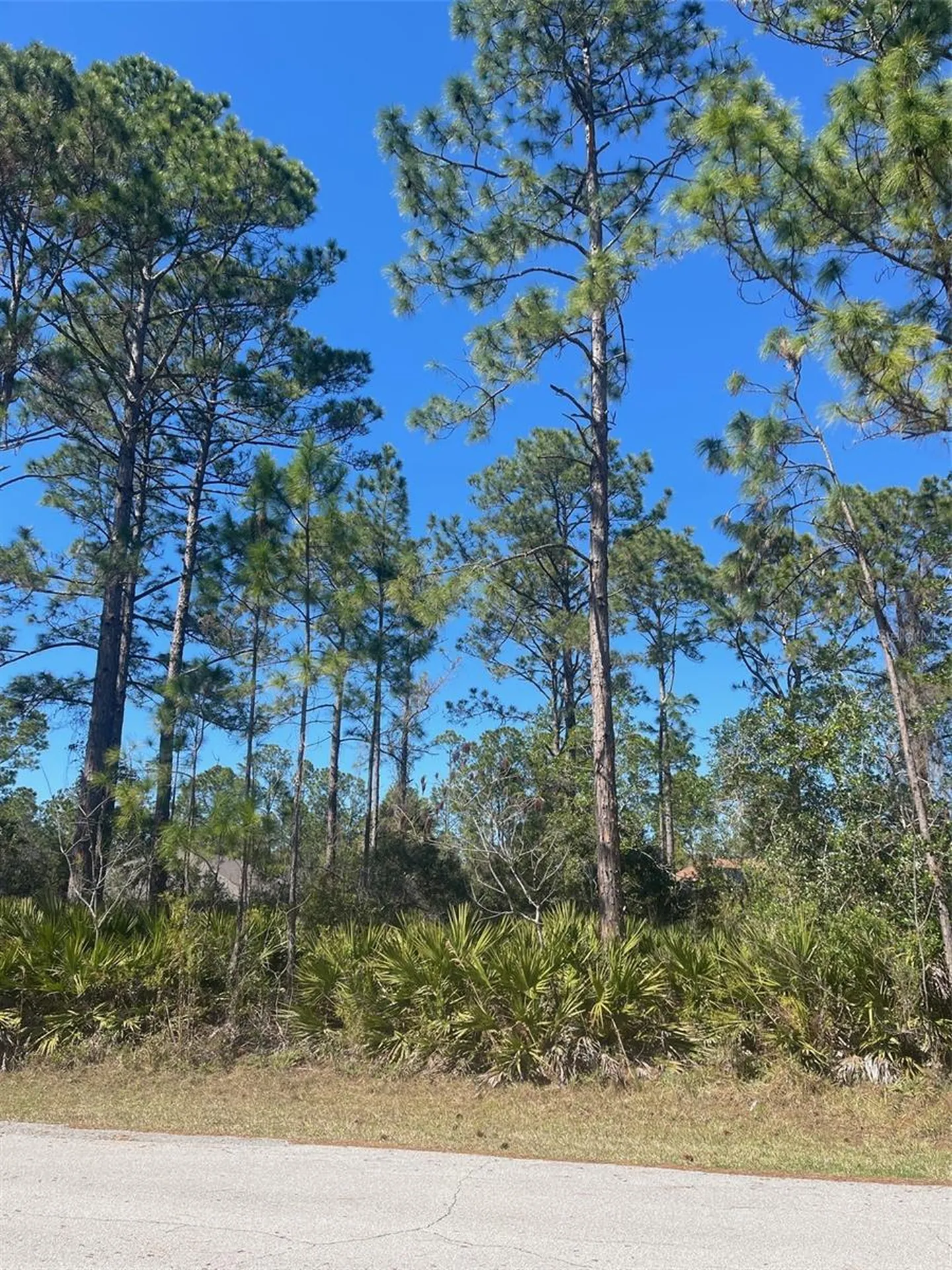 36 Seagoing Trail Palm Coast FL 32164