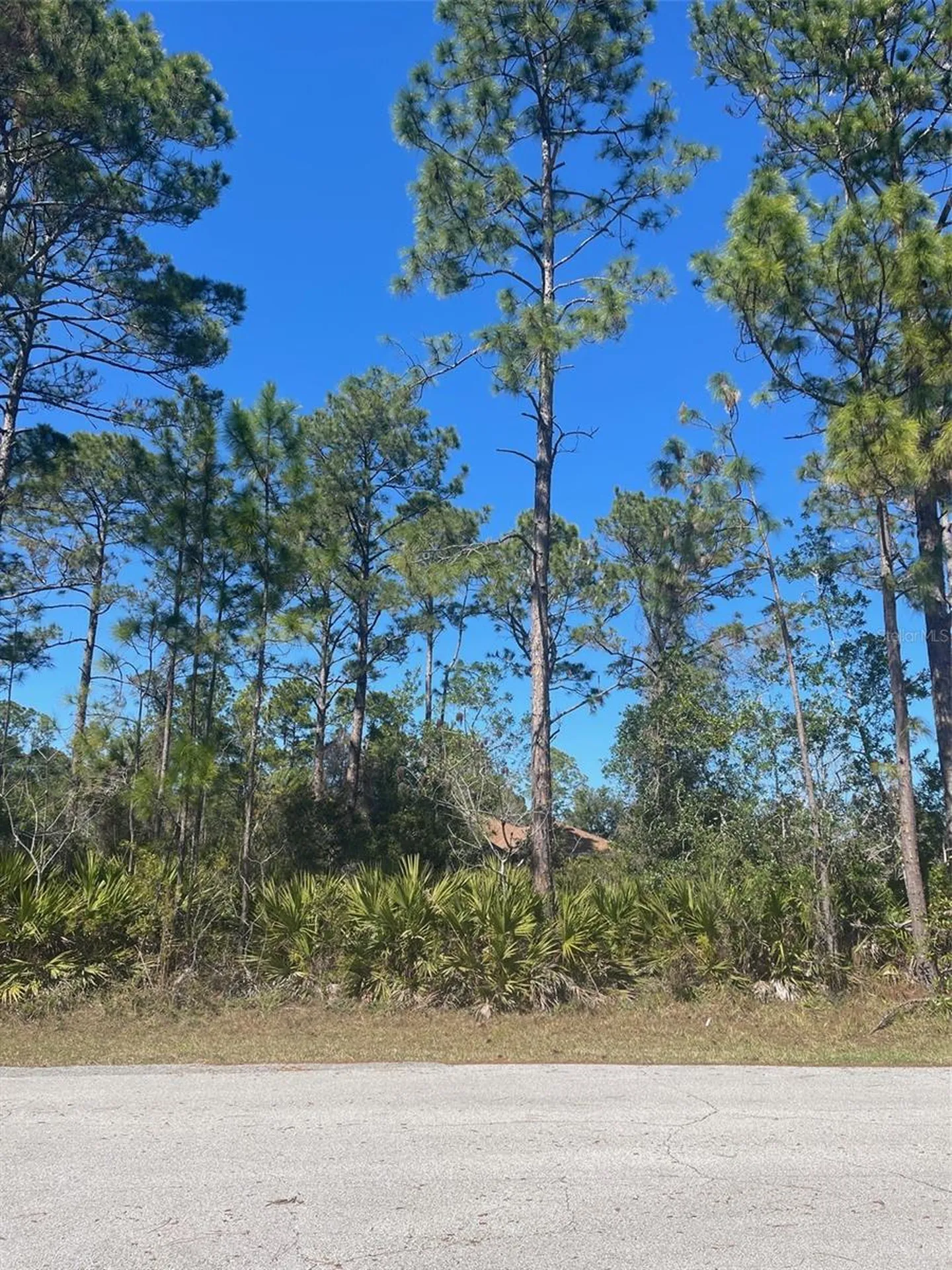 36 Seagoing Trail Palm Coast FL 32164