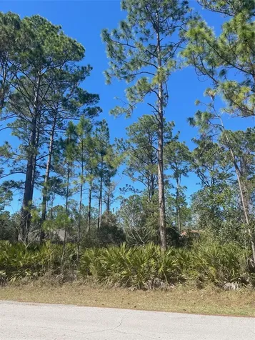 36 Seagoing Trail Palm Coast FL 32164