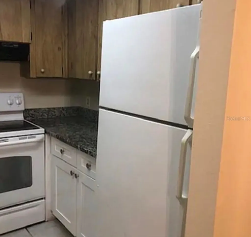 3124 Bloomingdale Villas Court Brandon FL 33511