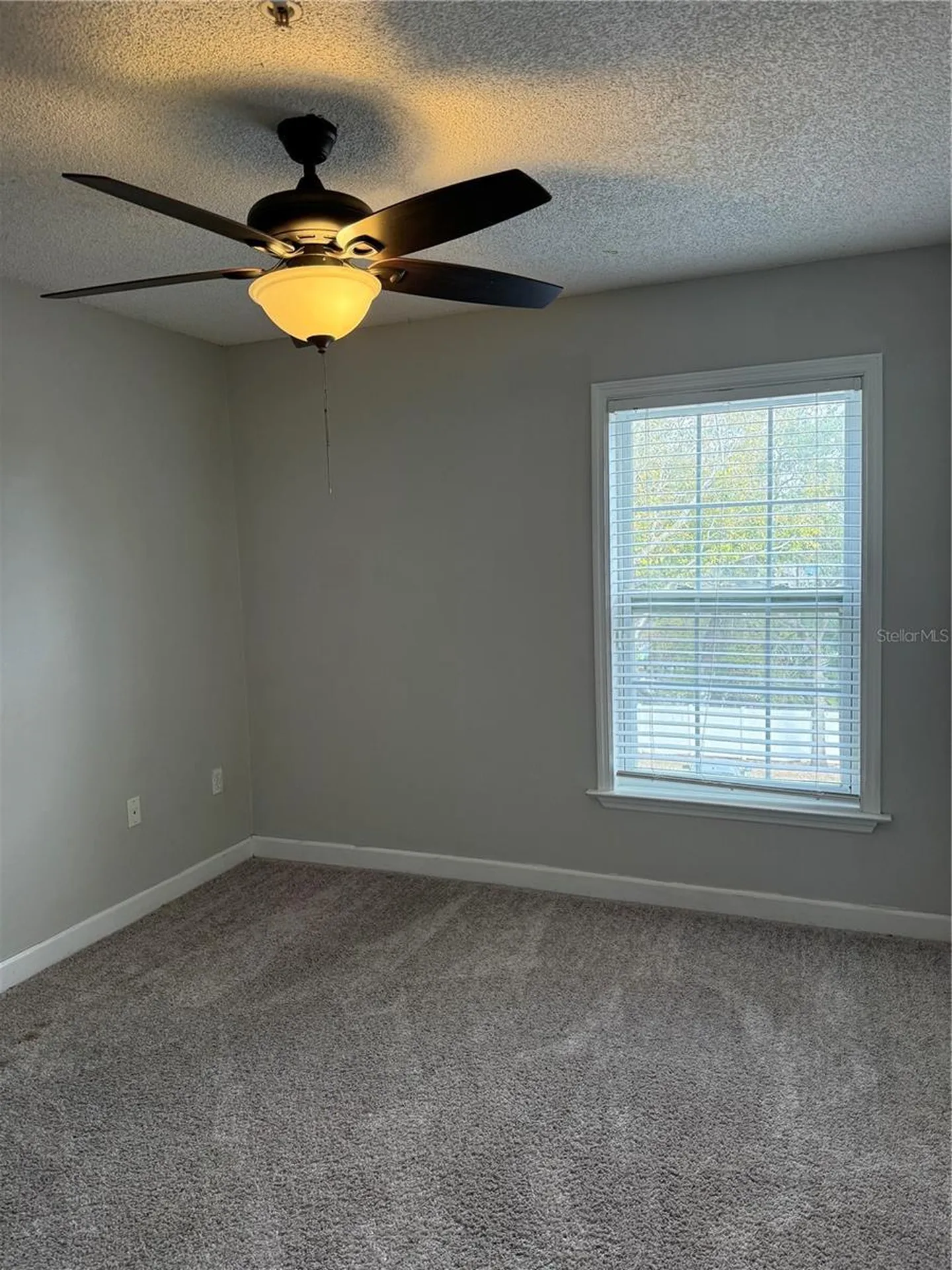 2019 Dixie Belle Drive Orlando FL 32812