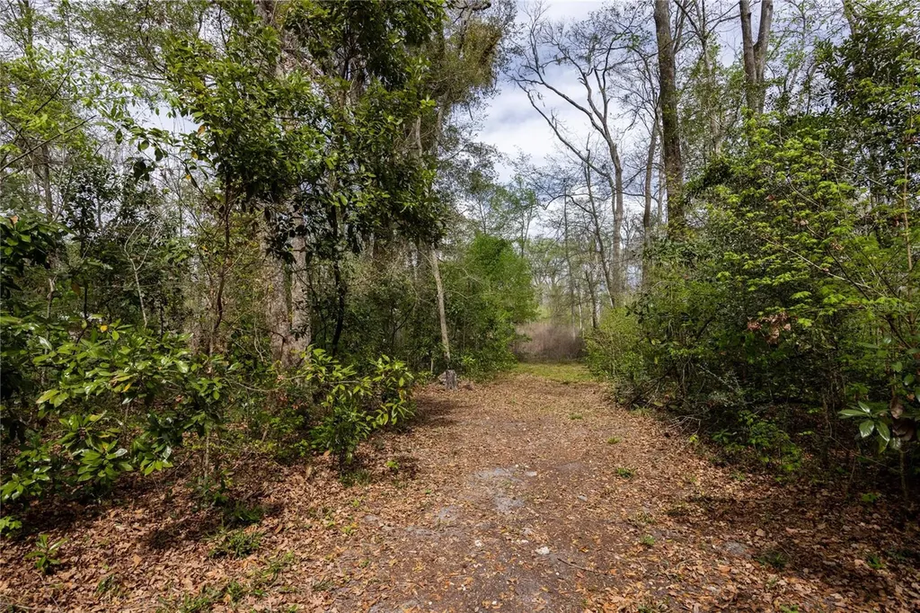 1187 SW Boston Terrace Fort White FL 32038