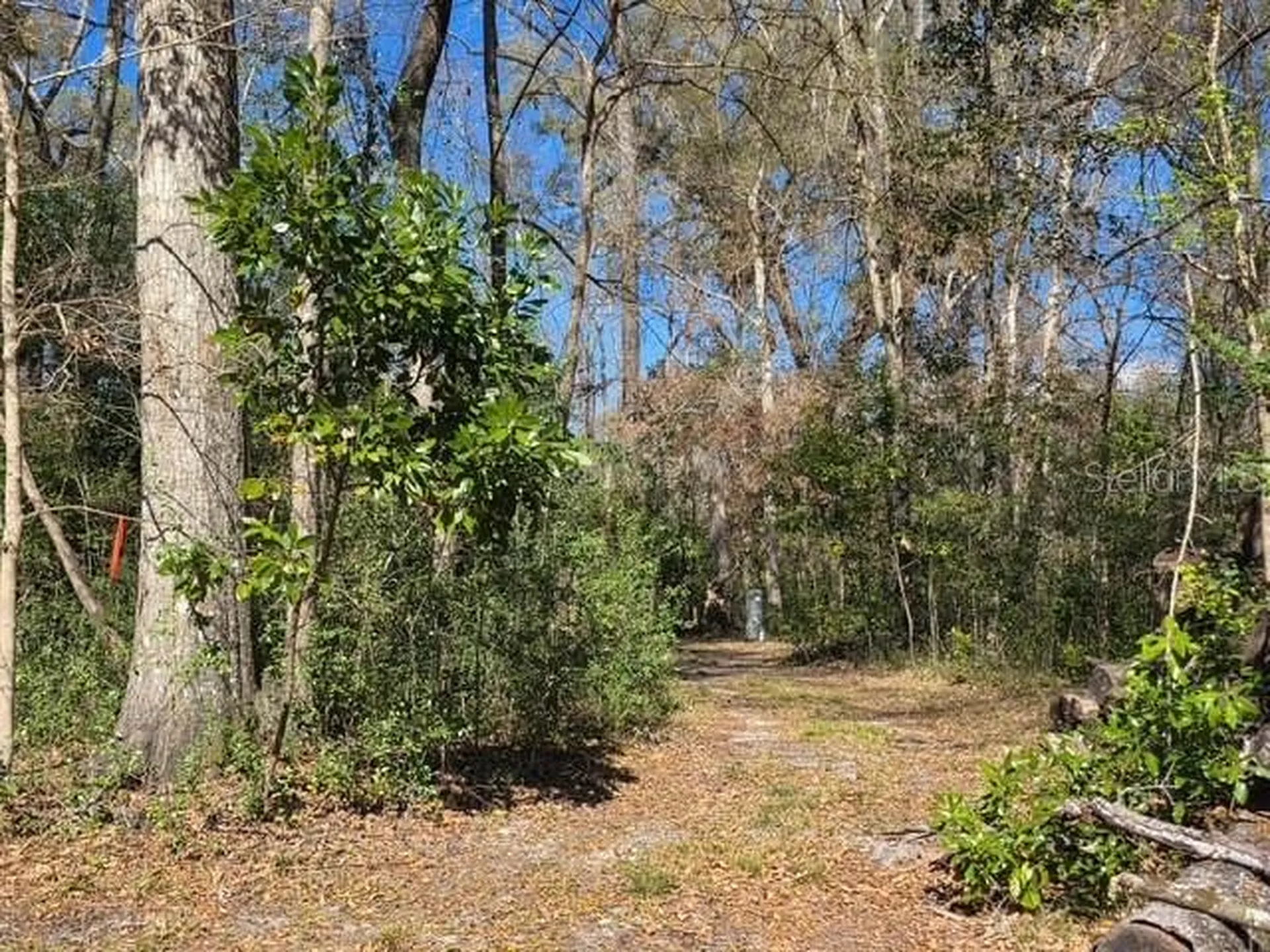 1187 SW Boston Terrace Fort White FL 32038