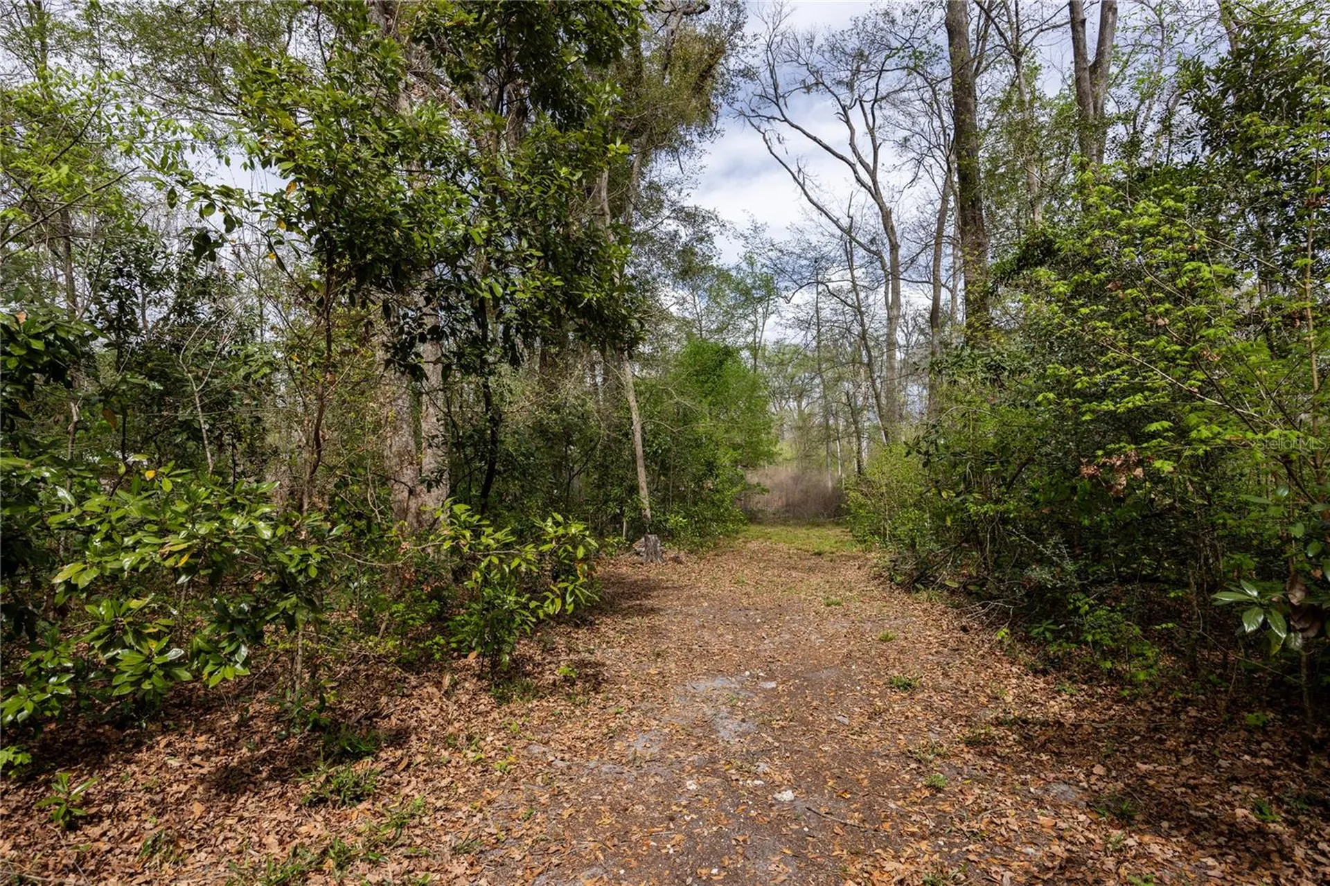 1187 SW Boston Terrace Fort White FL 32038