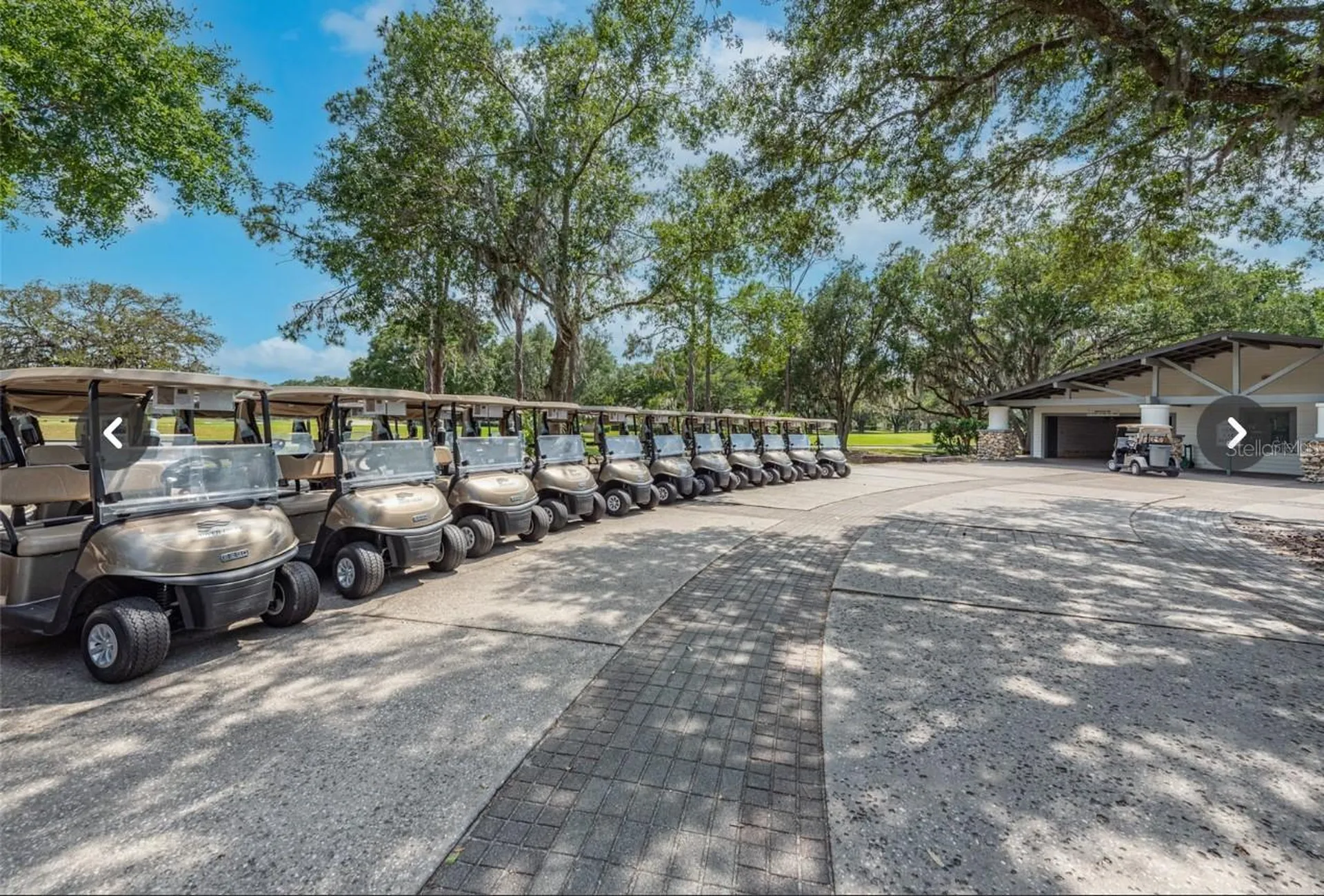 5215 Fairway One Drive Valrico FL 33596