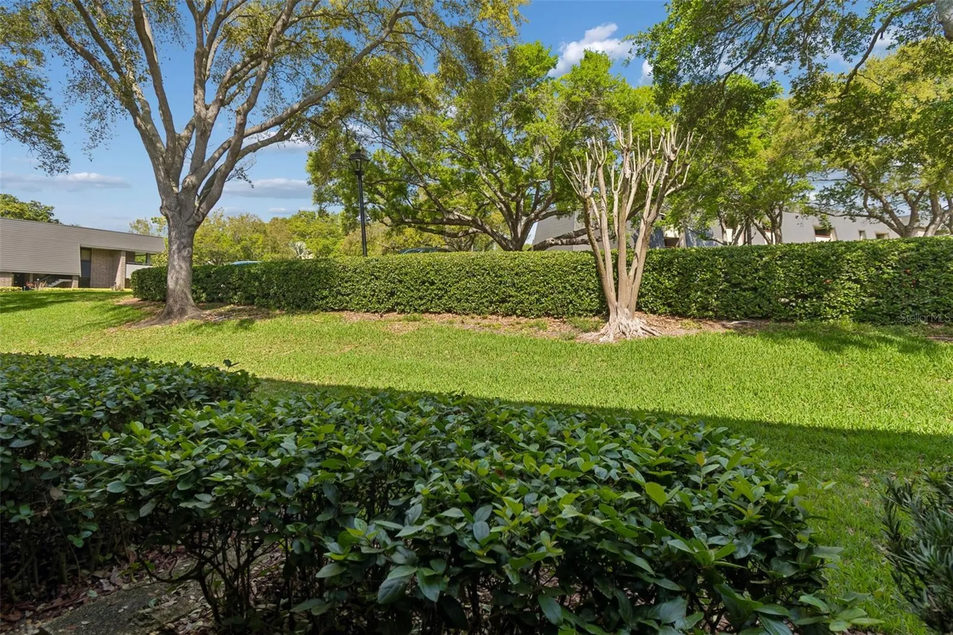 36750 Us Highway 19 N Palm Harbor FL 34684