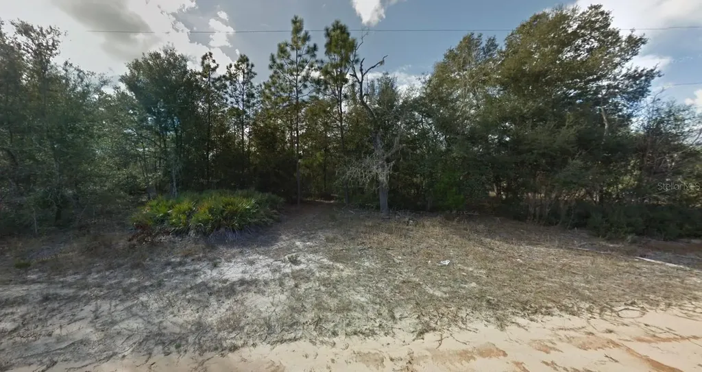 Ludlow Street Interlachen FL 32148