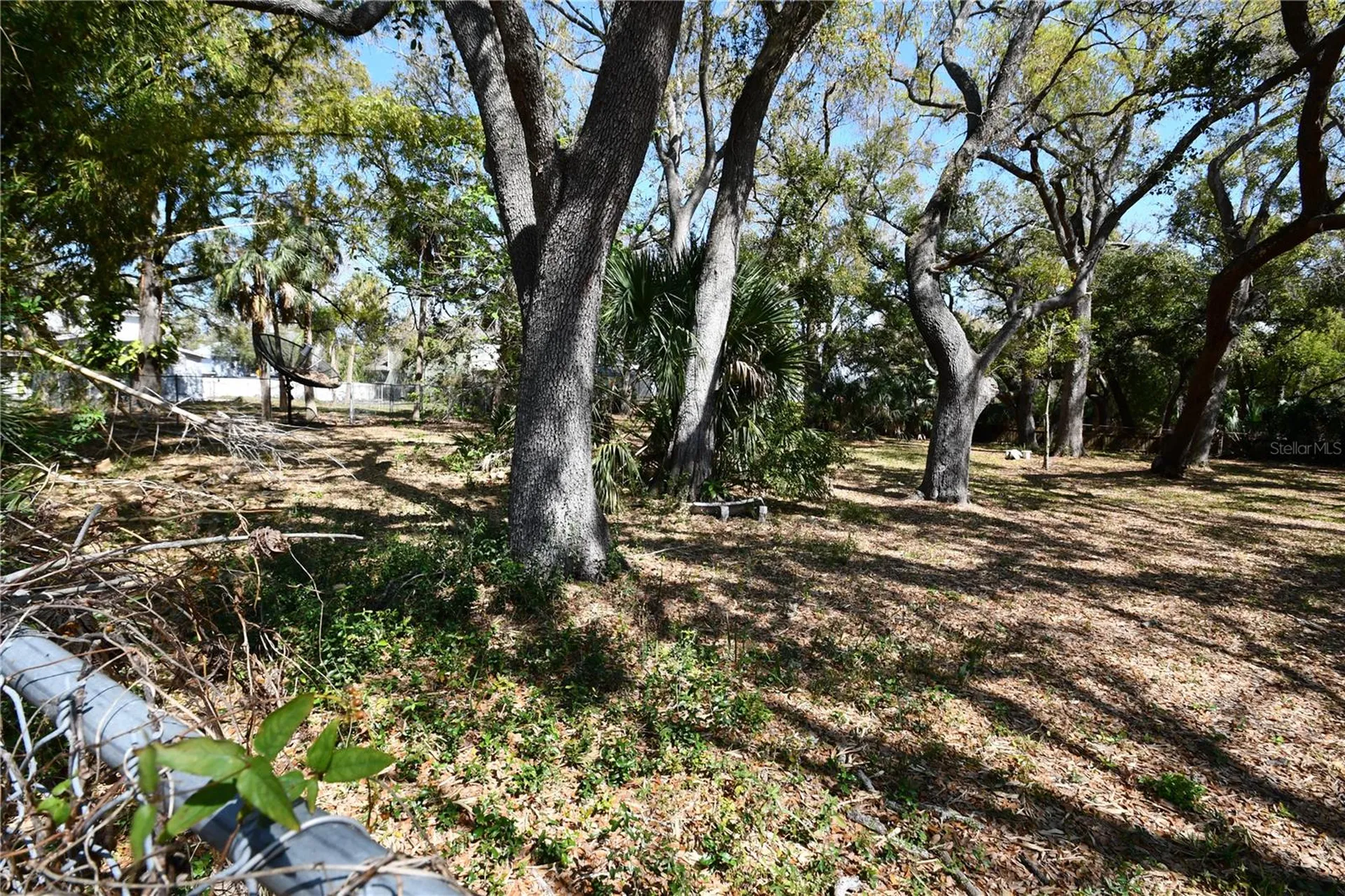 8020 Interbay Boulevard Tampa FL 33616
