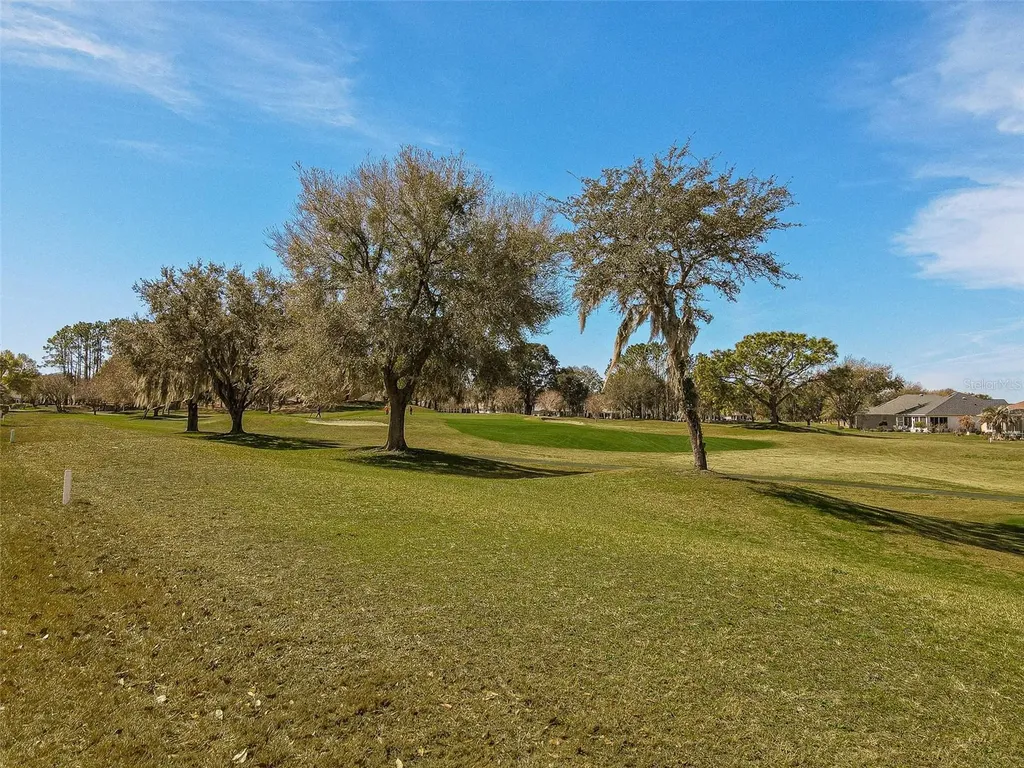 13280 SE 92nd Court Road Summerfield FL 34491