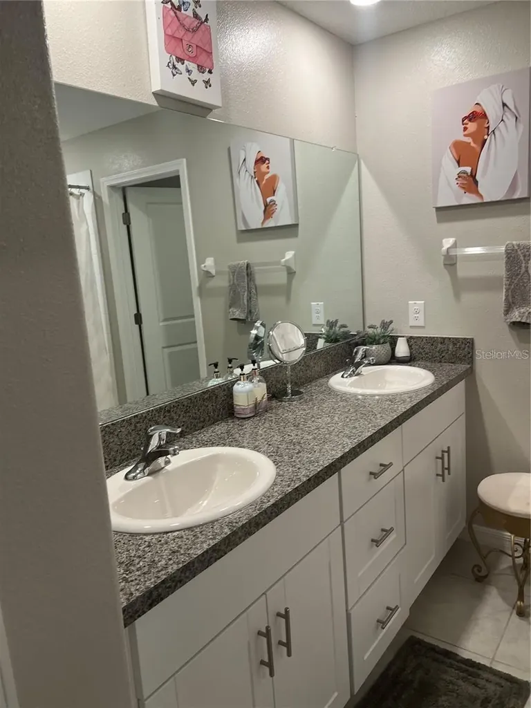 31811 Sun Kettle Loop Wesley Chapel FL 33545