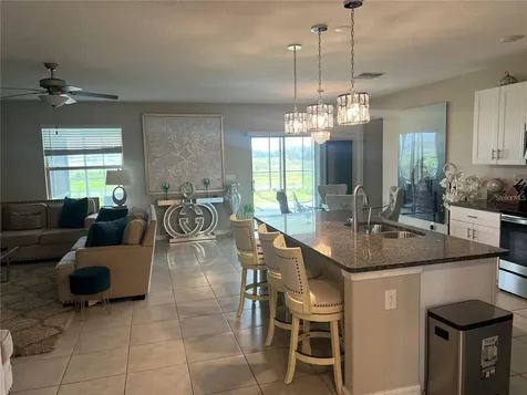 31811 Sun Kettle Loop Wesley Chapel FL 33545