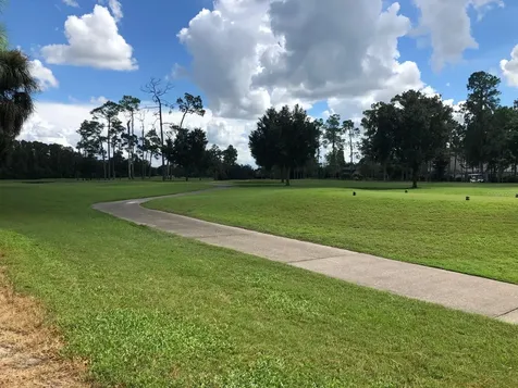 29129 Bay Hollow Drive Wesley Chapel FL 33543