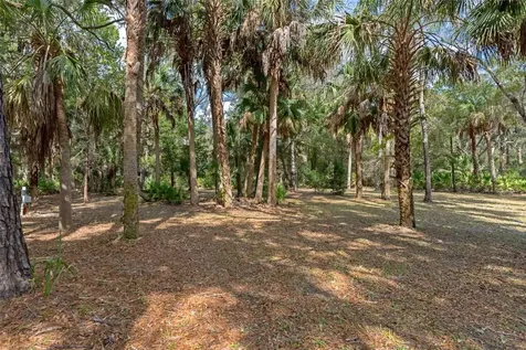 35 Captains Cove Road Inglis FL 34449