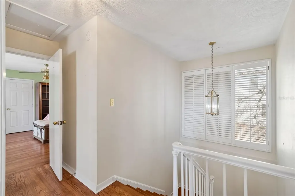 19 Sandpiper Road Tampa FL 33609