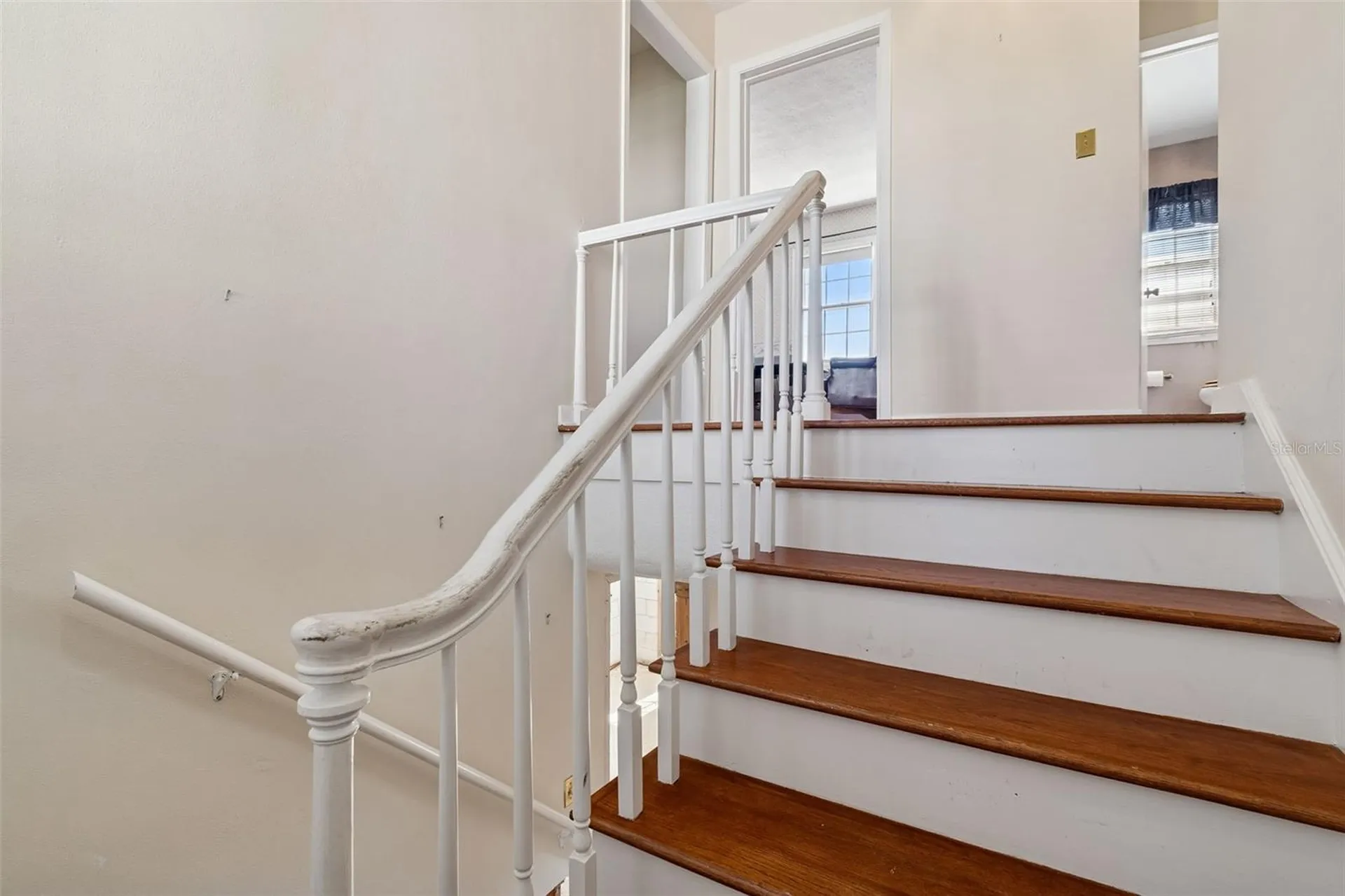 19 Sandpiper Road Tampa FL 33609