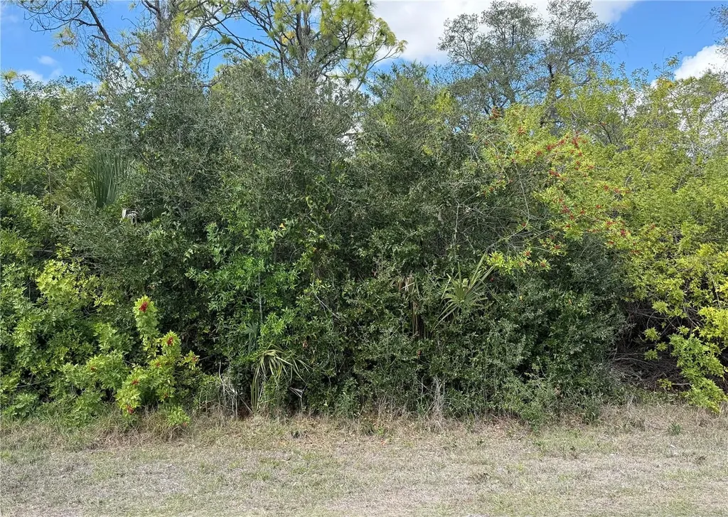 33 Cheshire Street Port Charlotte FL 33953