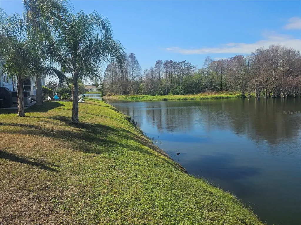 433 Sailfish Boulevard Oldsmar FL 34677