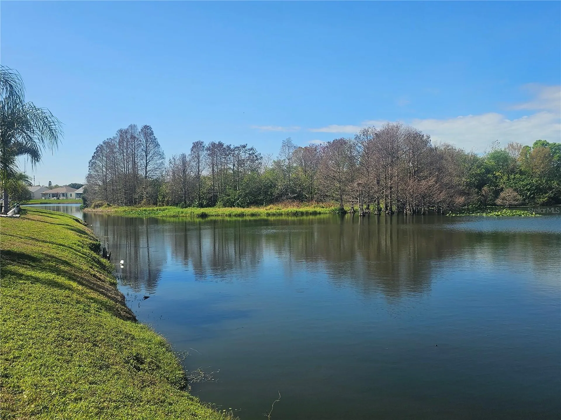 433 Sailfish Boulevard Oldsmar FL 34677