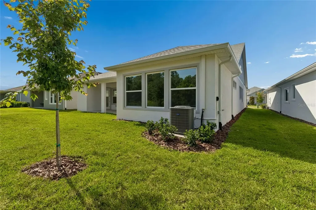 31467 Hayman Loop Wesley Chapel FL 33545