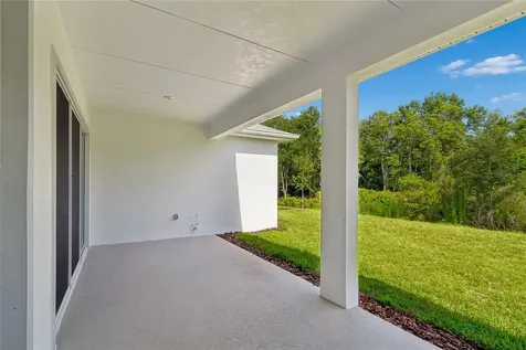 31467 Hayman Loop Wesley Chapel FL 33545