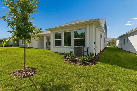 31467 Hayman Loop Wesley Chapel FL 33545