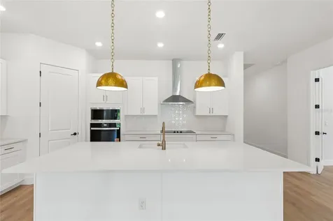 31467 Hayman Loop Wesley Chapel FL 33545