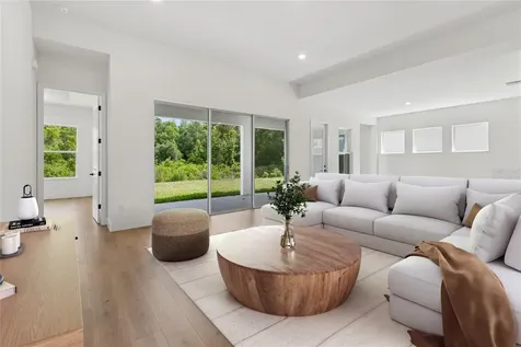 31467 Hayman Loop Wesley Chapel FL 33545