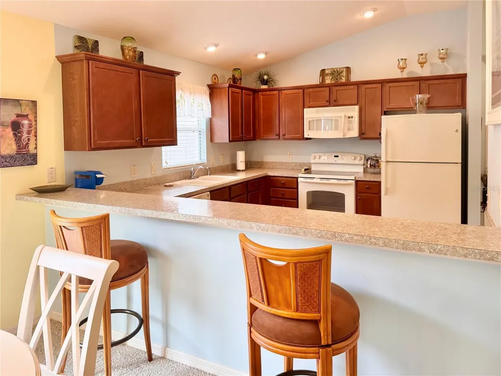 2000 Goldenrod Court The Villages FL 32162