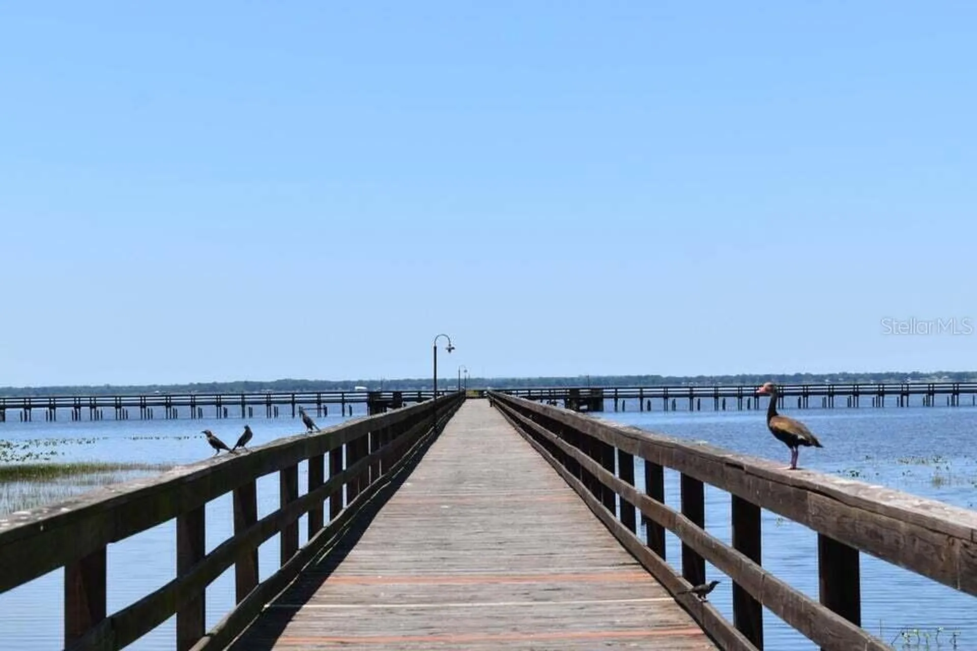 Tbd Azalea Drive Indian Lake Estates FL 33855