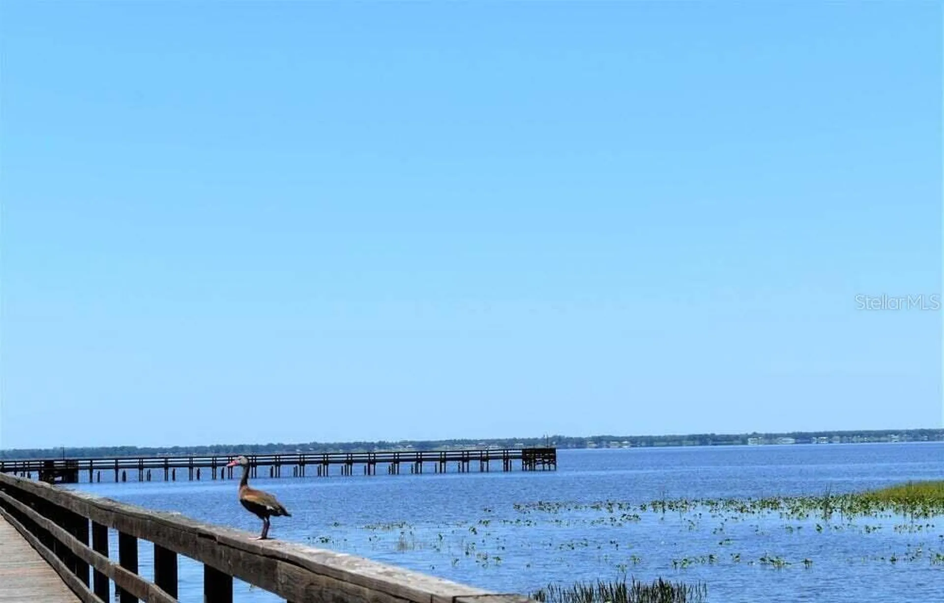 Tbd Azalea Drive Indian Lake Estates FL 33855