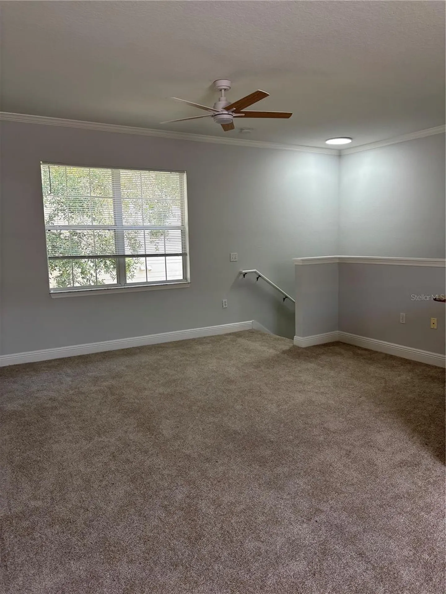 233 Southern Pecan Circle Winter Garden FL 34787