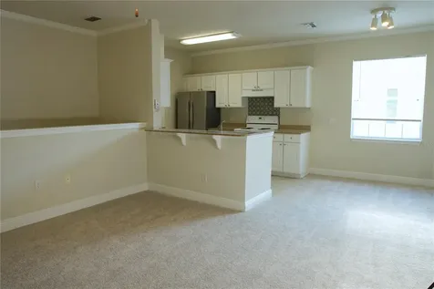 233 Southern Pecan Circle Winter Garden FL 34787