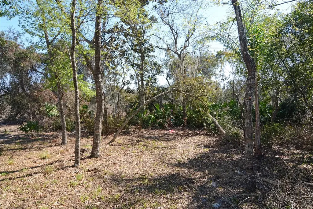 19 Spring Ridge Drive Debary FL 32713