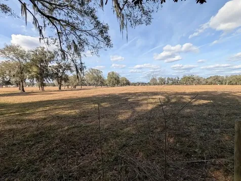 NE 36th Street Ocala FL 34479