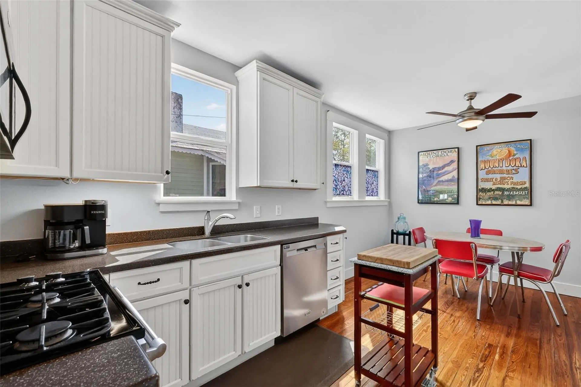342 S Clayton Street Mount Dora FL 32757