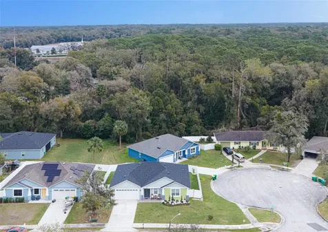 113 Plumosus Park Drive Deland FL 32724